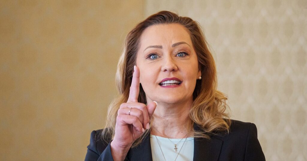 Elena Lasconi, mesaj dur pentru Bolojan: „Cea mai mare greşeală într-o societate capitalistă este să tai investiţiile”