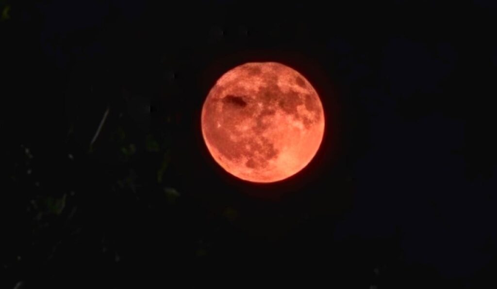Luna plina, luna căpșuna