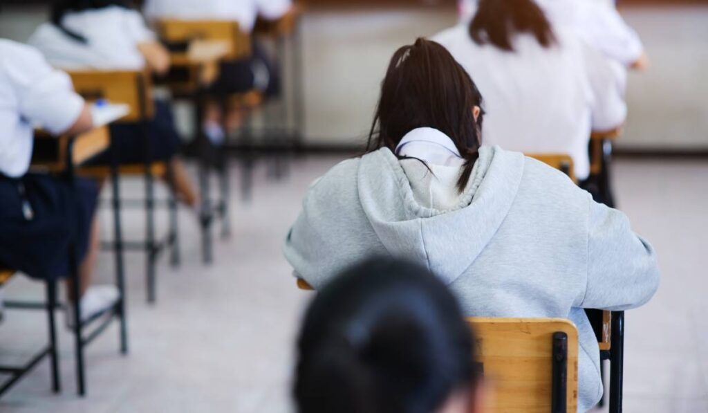 Mai mulți elevi la școală, în timpul unei ore de curs