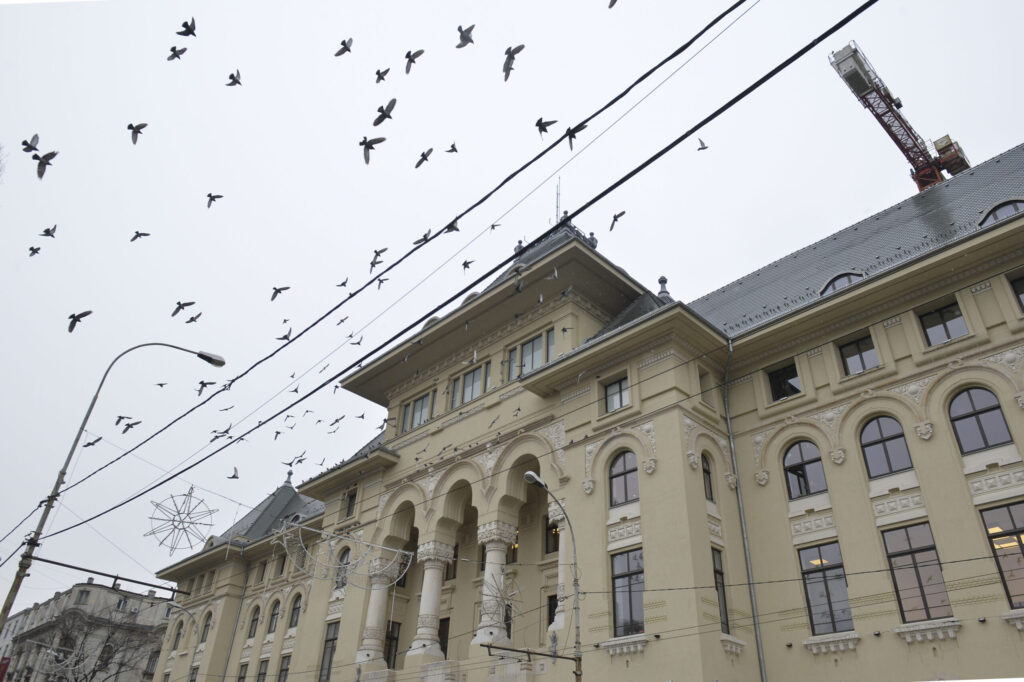 Bolojan, despre alegerile pentru Primăria Capitalei: Provizoratele nu asigură performanță
