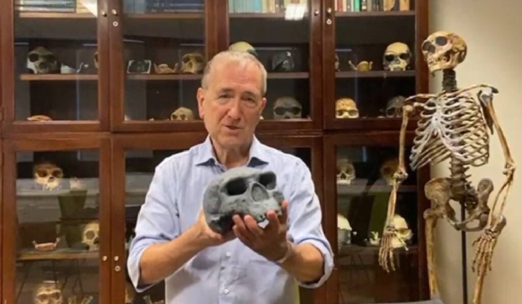 Imaginea îl surprinde pe antropologul Chris Stringer într-un laborator sau muzeu, ținând în mâini un craniu fosil de culoare gri închis. În fundal se află un dulap vitrat plin cu alte cranii umane și primate și un schelet uman articulat, sugerând un mediu de cercetare sau expoziție.