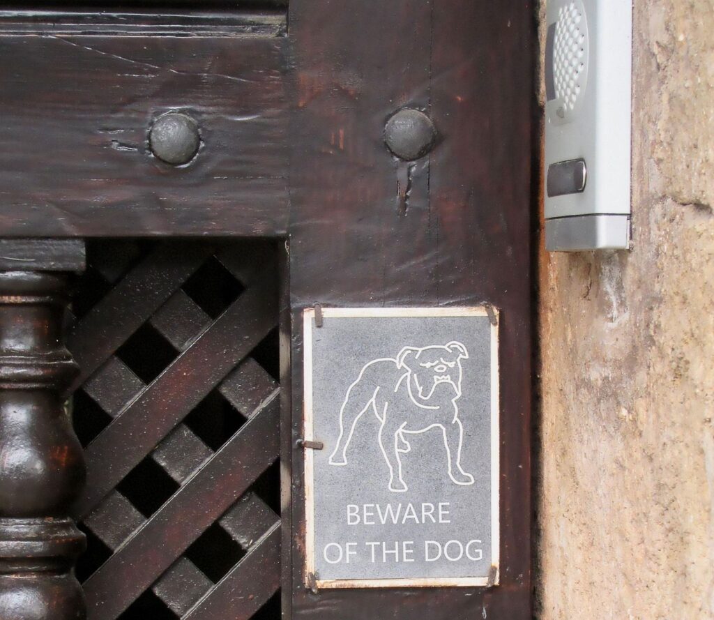 Ia-ți un câine sau măcar un semn „Atenție! Câine rău”: 14 sfaturi de la experți pentru a-ți proteja locuința Ia-ți un câine sau măcar un semn „Atenție! Câine rău”: 14 sfaturi de la experți pentru a-ți proteja locuința