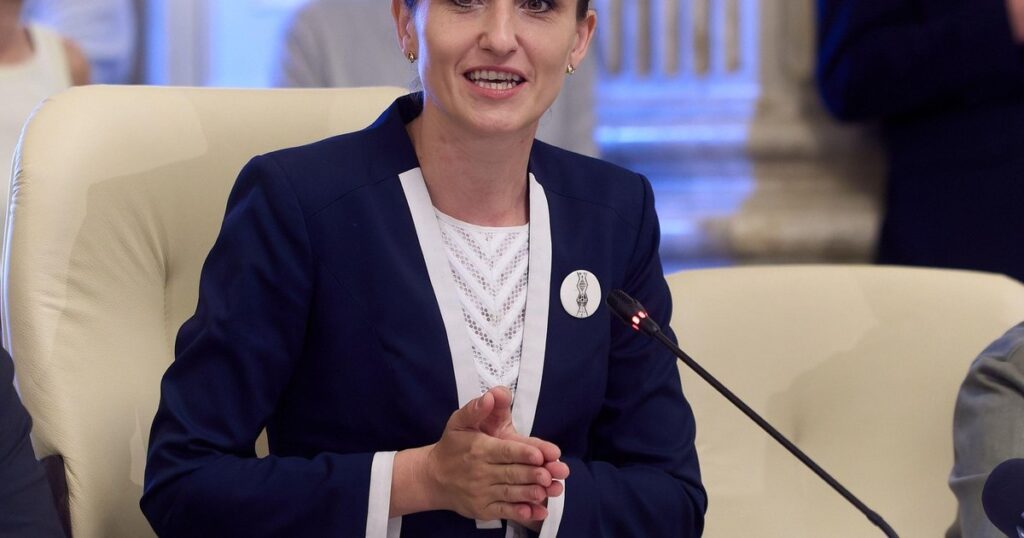 Oana Țoiu la reuniunea de urgență a Consiliului de Securitate ONU: România condamnă provocările Rusiei și reafirmă solidaritatea cu Estonia