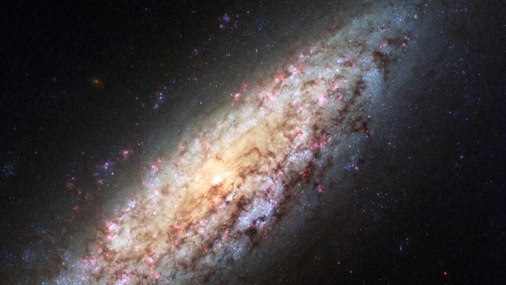 Observatorul LIGO confirmă pentru prima dată teoria lui Stephen Hawking privind găurile negre