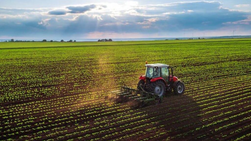 Producțiile record de cereale nu pot ascunde dezastrul din agricultura românească