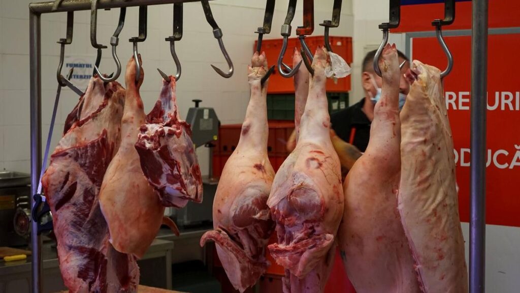 Sacrificările de animale și producția de carne au crescut la bovine și păsări în iulie 2025