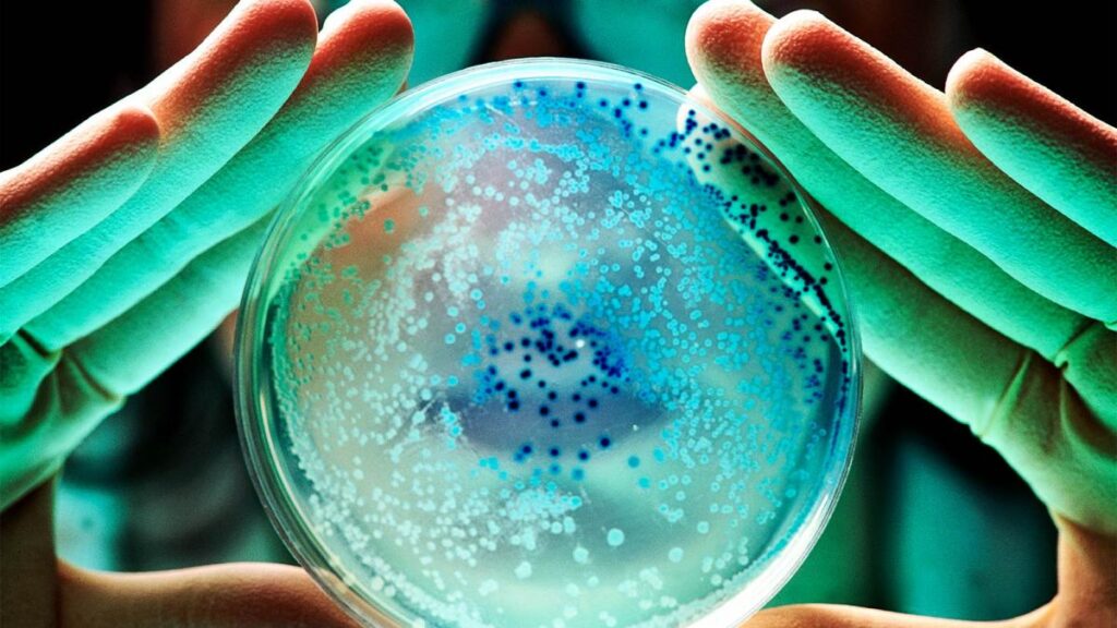 Tratament revoluționar. Un cocktail de viruși distruge 99% din superbacteriile din spitale