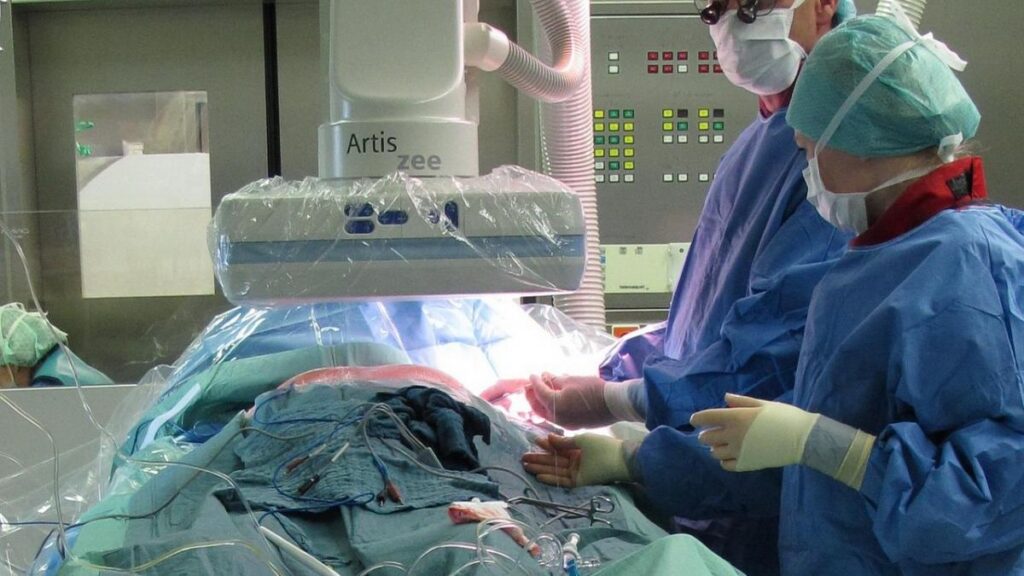 „Transplantul nu echivalează cu vindecarea”
