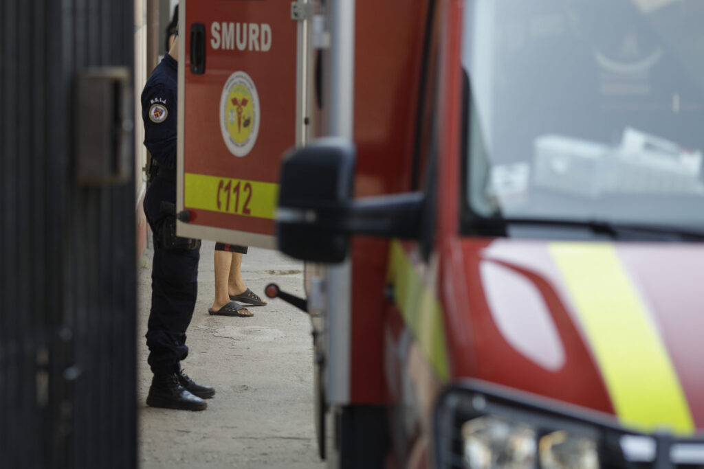 Autoritățile din Neamț caută un urs care a omorât un bărbat de 88 de ani