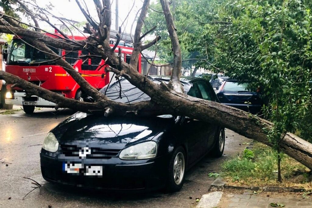 Bucureștiul, sub cod portocaliu de vânt puternic: Zeci de copaci doborâți, mașini avariate și cabluri rupte. O persoană a fost rănită