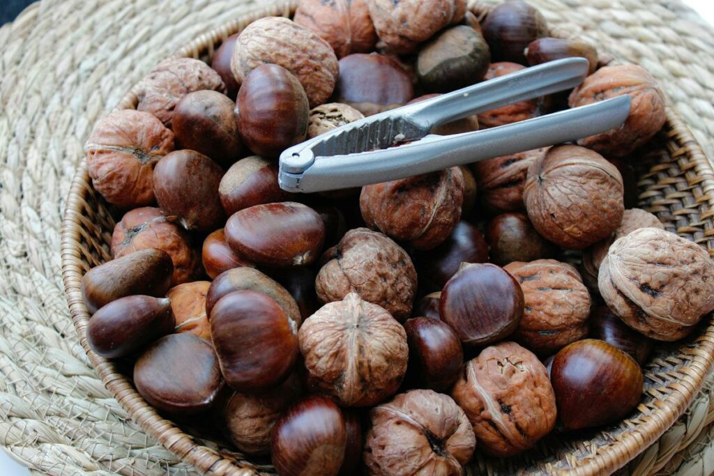 Ce spune știința despre consumul de castane toamna: fructul oleaginos fără calorii