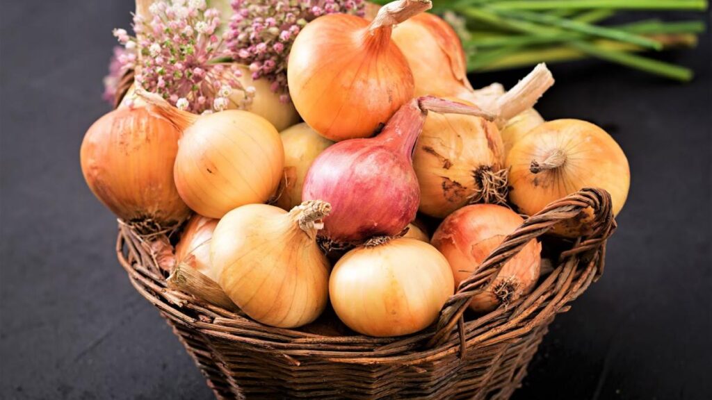 Ceapă galbenă sau șalotă? Diferențe care schimbă gustul preparatelor Ceapă galbenă sau șalotă? Diferențe care schimbă gustul preparatelor
