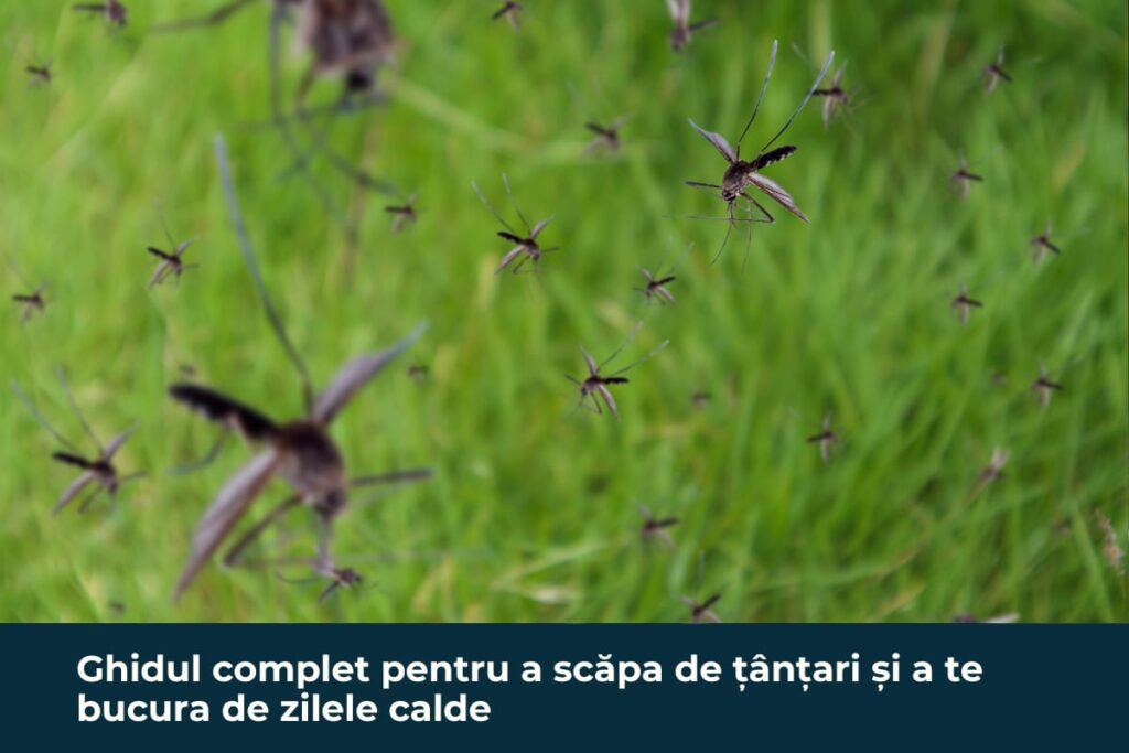 Ghidul complet pentru a scăpa de țânțari și a te bucura de zilele calde