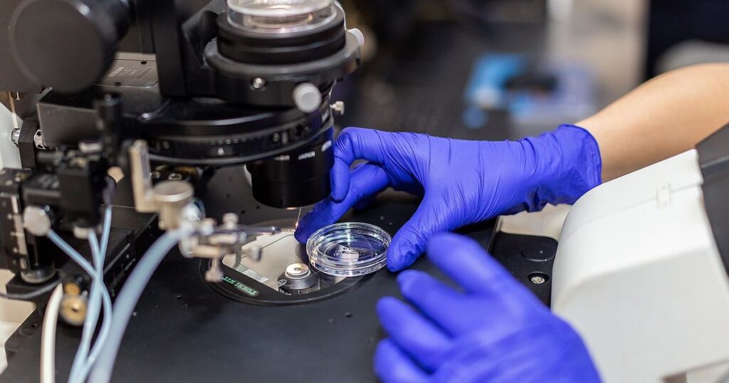 În fața cancerului, maternitatea pare un vis imposibil. Dar oncofertilitatea dovedește contrariul