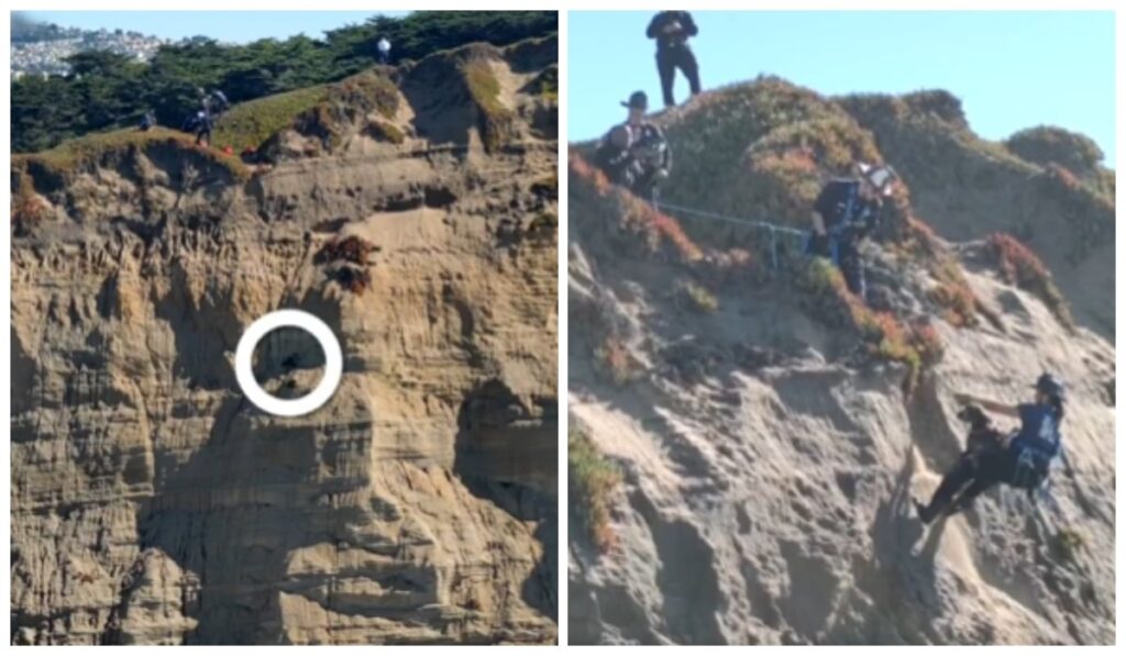 Un câine blocat pe o stâncă abruptă în partea stângă. În partea dreaptă echipele care salvează câinele