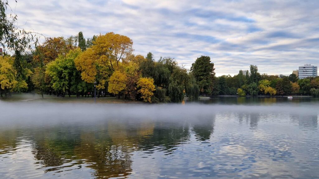 Negoiță vrea să cheltuiască 60 de milioane de euro ca să reamenajeze IOR și în alte 2 parcuri. Ce lucrări propune Negoiță vrea să cheltuiască 60 de milioane de euro ca să reamenajeze IOR și în alte 2 parcuri. Ce lucrări propune