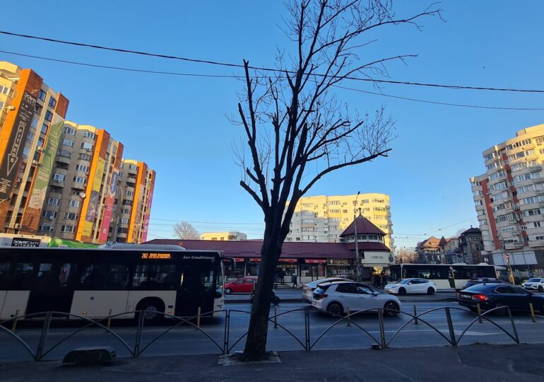 Primăria Capitalei a majorat drastic amenzile pentru mutilarea arborilor. Oamenii lui Voiculescu au luptat dur pentru toaletările abuzive din București spotmedia.ro logo