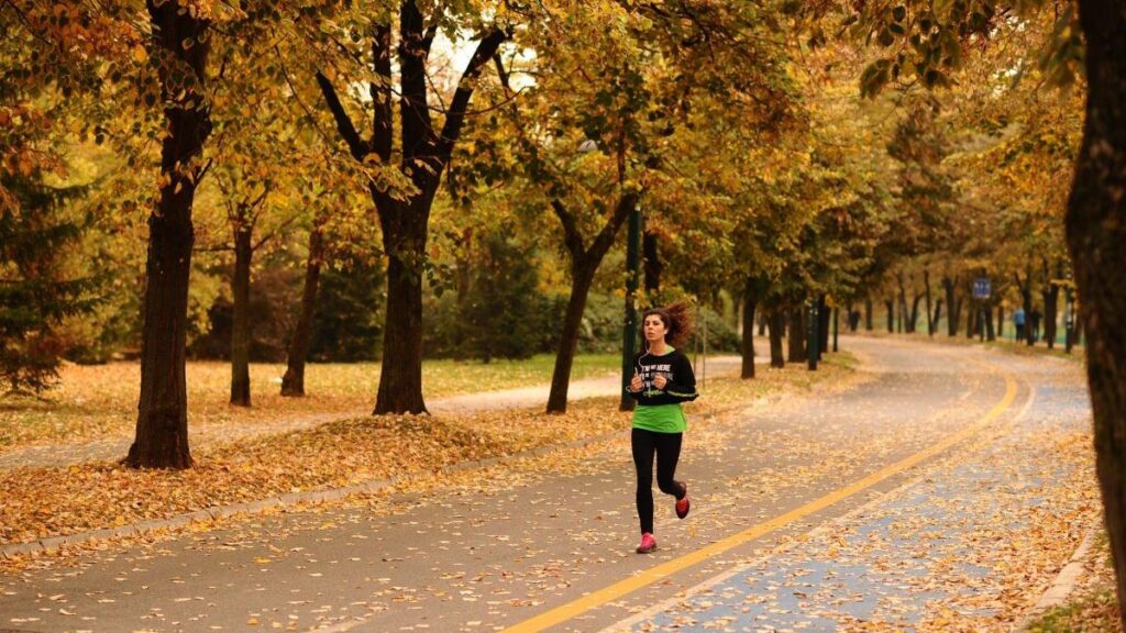 Prognoza pentru luna noiembrie și cum va fi vremea pe 1 Decembrie Prognoza pentru luna noiembrie și cum va fi vremea pe 1 Decembrie