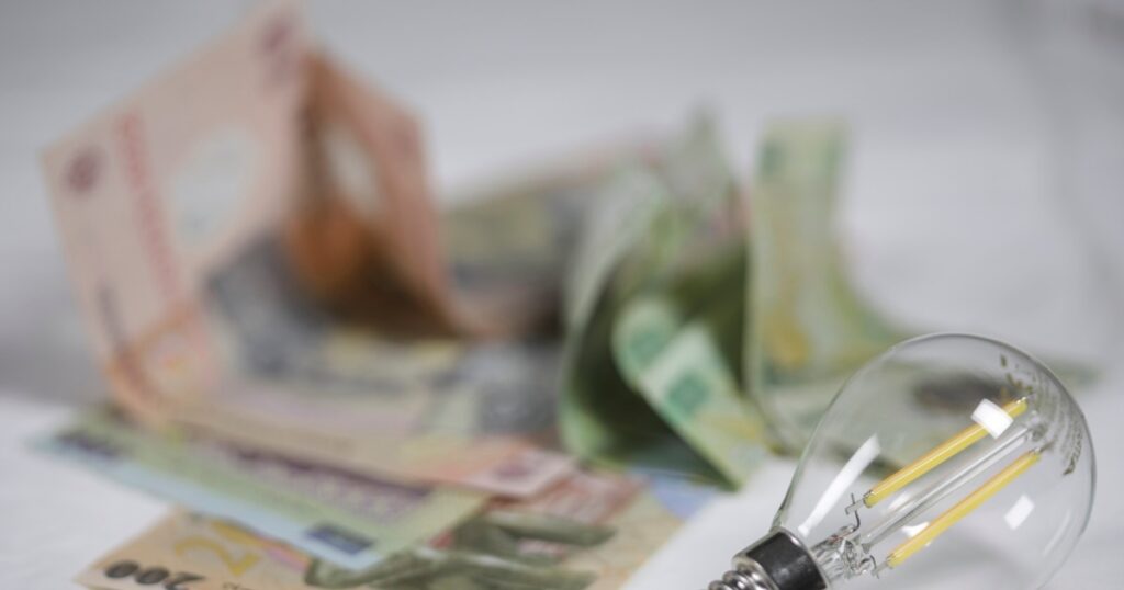 energia electrică, fructele și serviciile de igienă