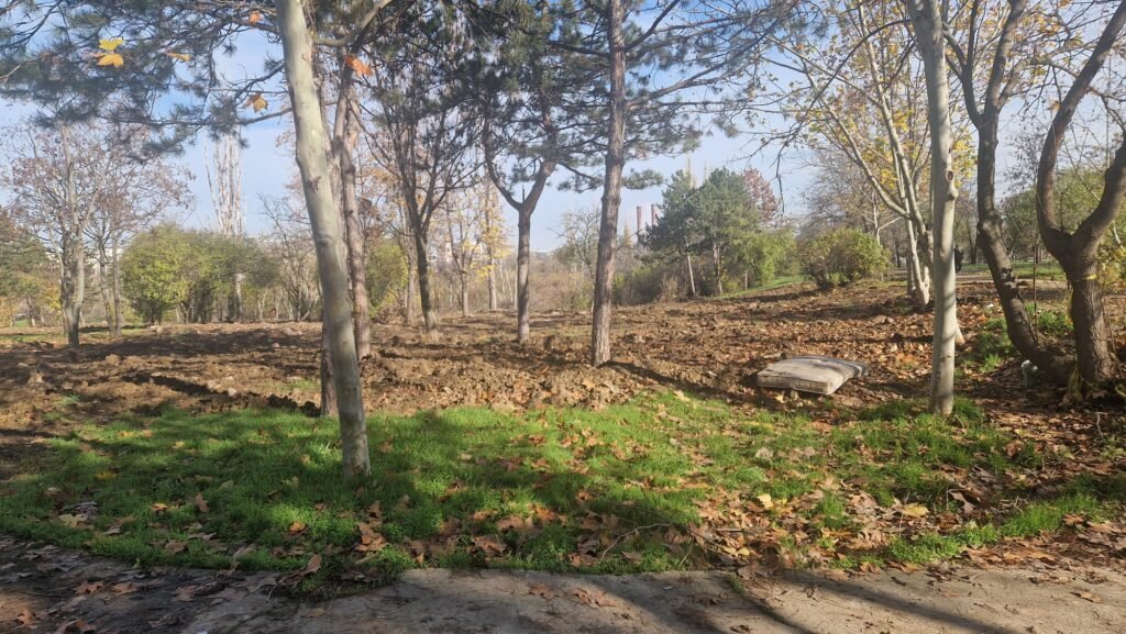 Zi importantă pentru cel mai tânăr parc din București: se amenajează în următorul an sau pierde primăria terenul, înainte să înceapă lucrările?