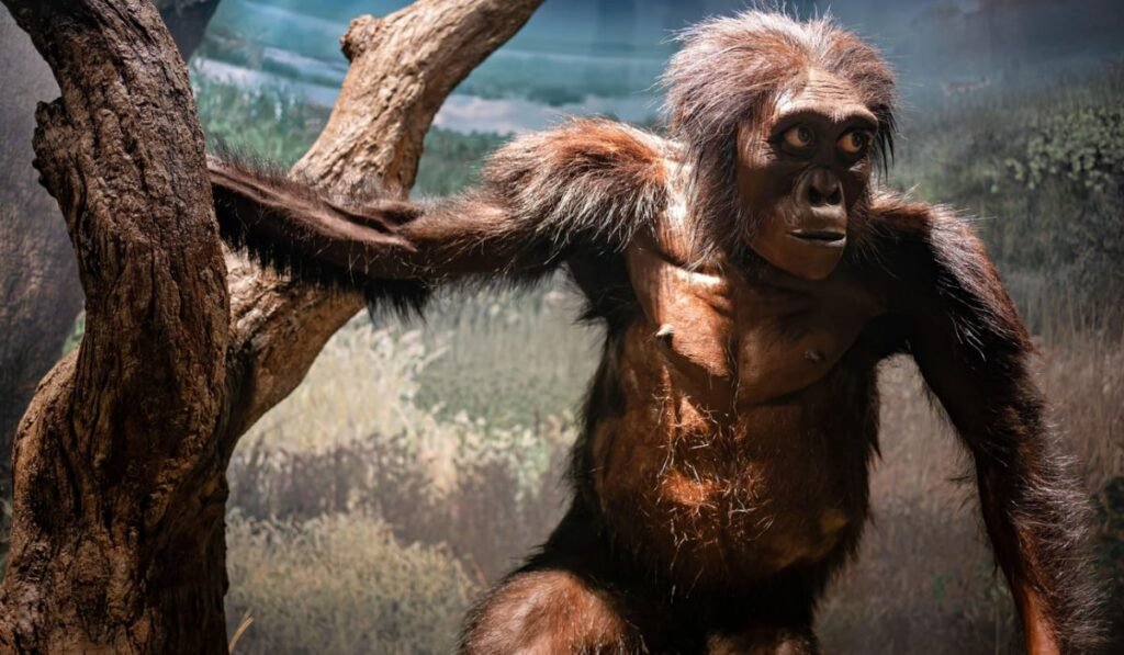 Reconstrucția lui Lucy, Australopithecus afarensis. Are blană maro-închis și stă în poziție verticală lângă un copac.
