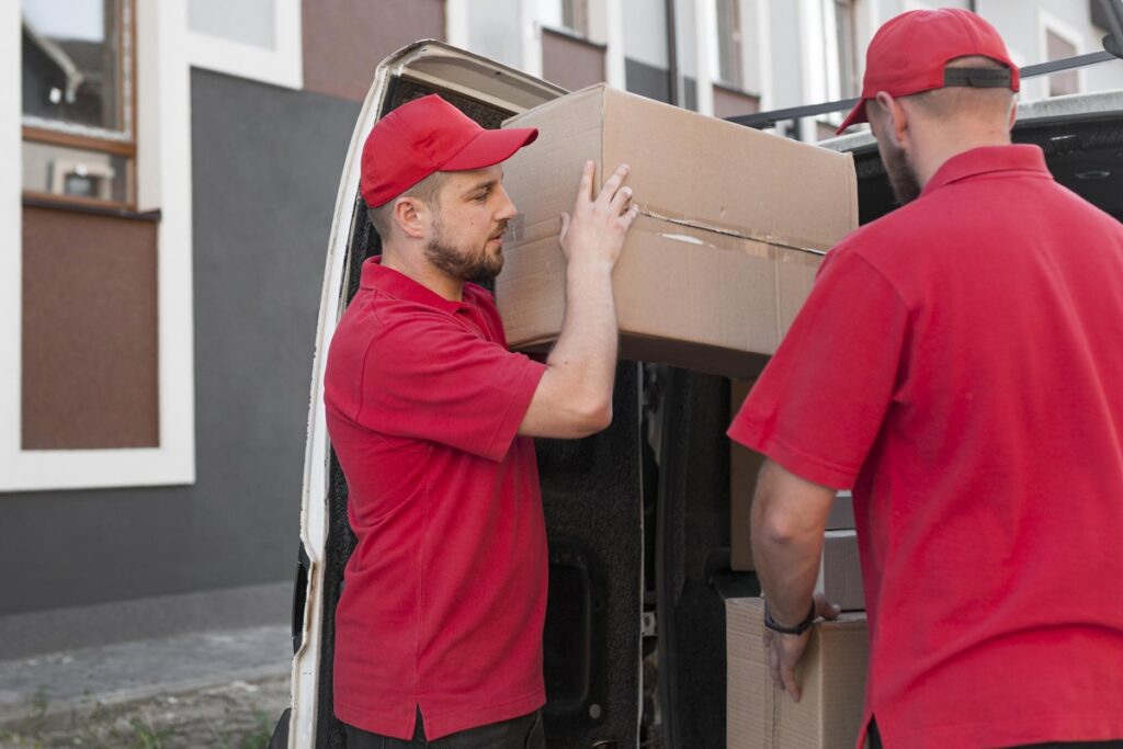 perspective economice şi de afaceri (P) perspective economice şi de afaceri (P)