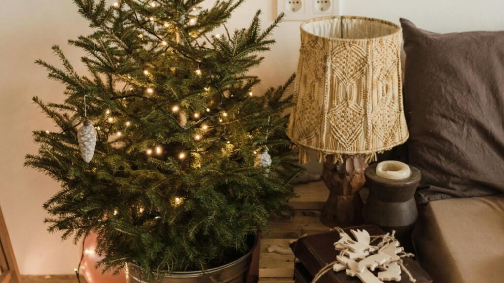 Ce trebuie să faci cu bradul natural de Crăciun ca să reziste mai mult. Trucul pe care trebuie să-l cunoști