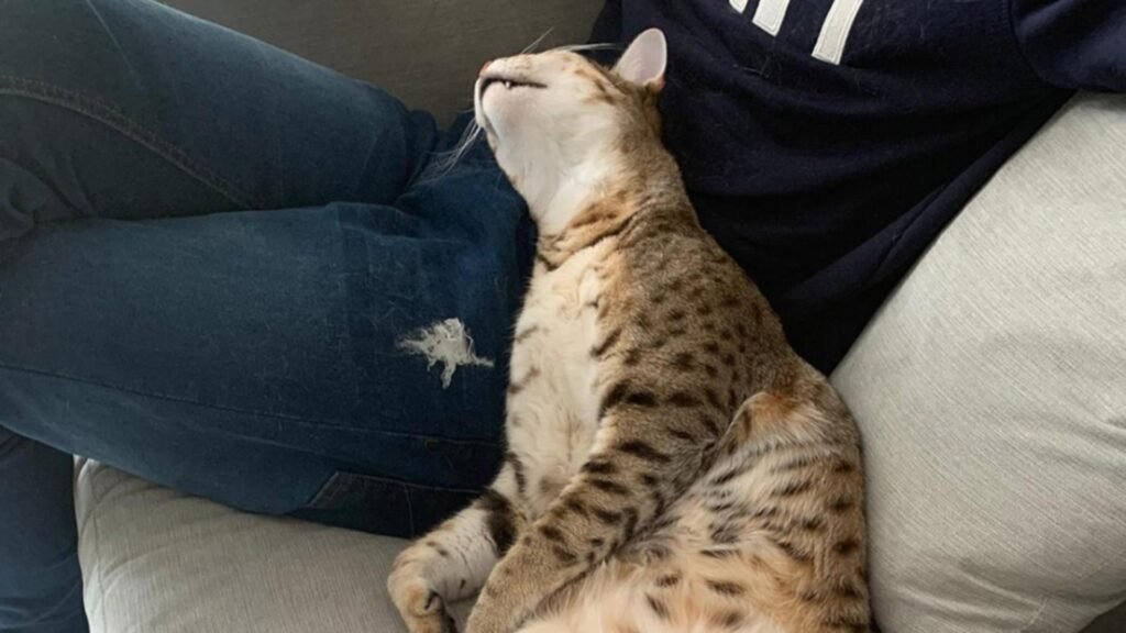 sursă foto: Profimedia