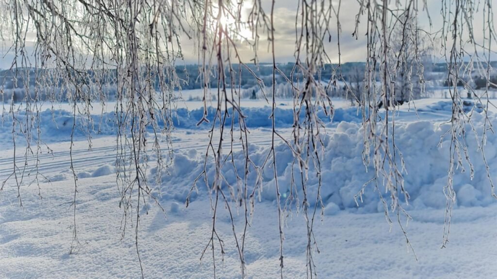 Vremea o ia razna în plină iarnă