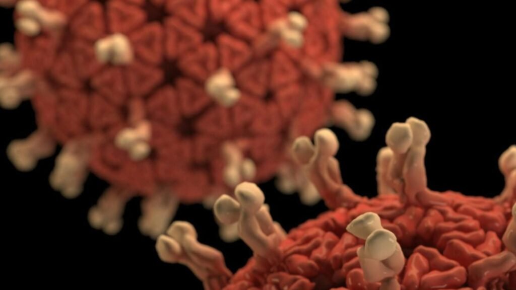 O țară din Europa se confruntă cu cel mai dur sezon gripal din istorie.