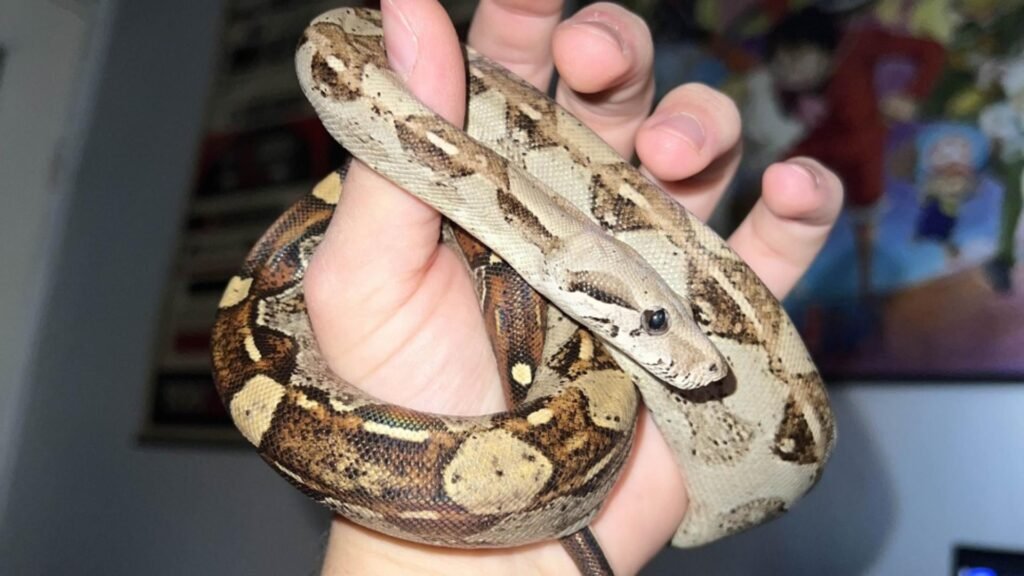 Inspectorii Gărzii de Mediu au fost surprinși de descoperire