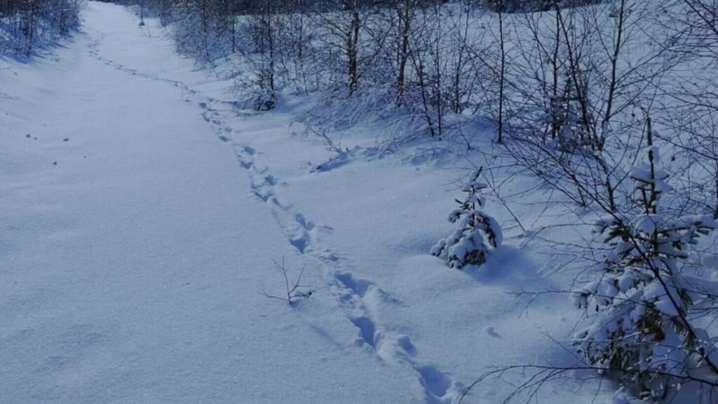 Salvamont Suceava anunță care sunt traseele montane pe care turiștii ar trebui să le evite.