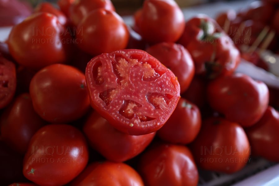 Roșii românești la preț de lux: 100 lei kilogramul Primele roșii românești: ”Vrei să mănânci în martie, plătești”