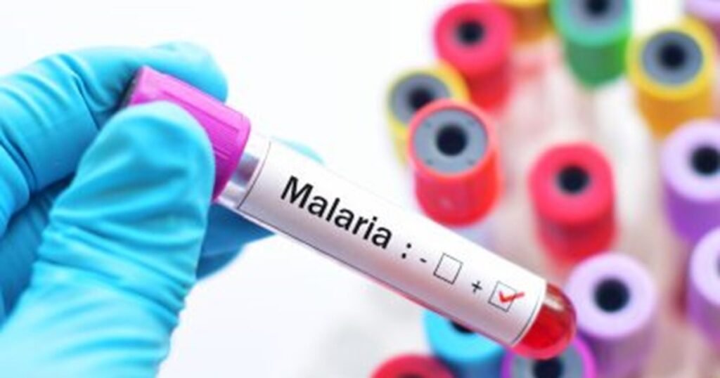 Cum recunoști malaria la timp: de la cazul copiilor infectați recent la metodele de protecție recomandate de medici