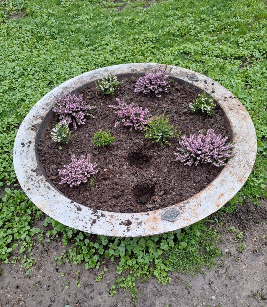 Florile din Parcul Chișmigiu, păzite de polițiști locali. Sute de flori furate în câteva zile