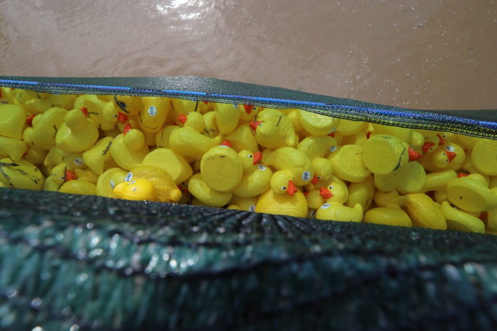 Microplasticele provin din obiecte de zi cu zi, de la jucării pentru copii la vopsea sau implanturi medicale Microplasticele provin din obiecte de zi cu zi, de la jucării pentru copii la vopsea sau implanturi medicale