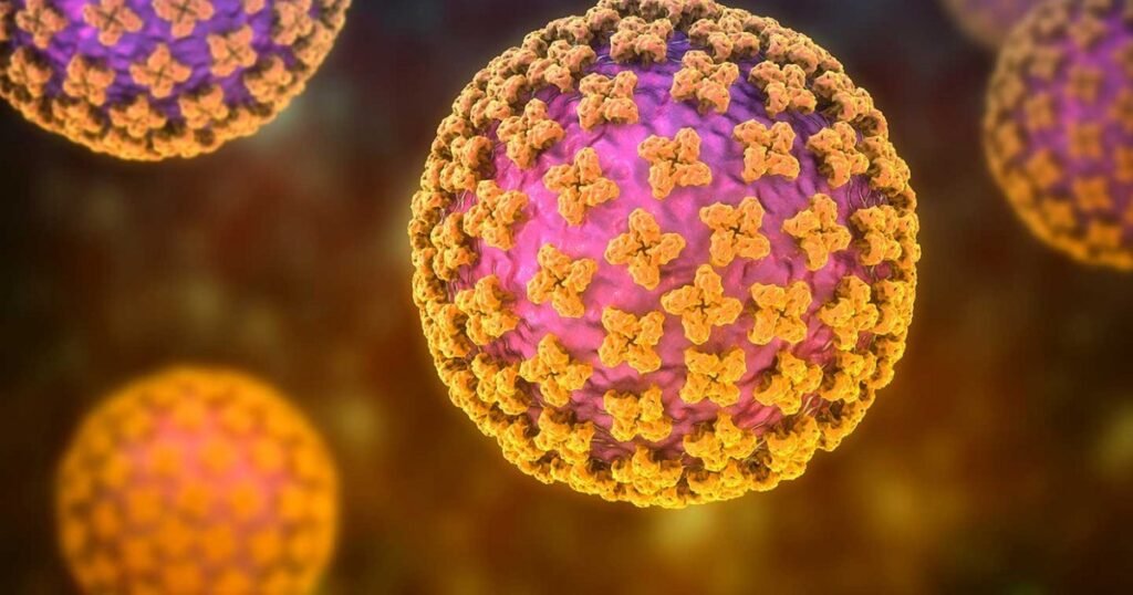 Suspiciune de Hantavirus în România. Ce spune dr. Marinescu (Matei Balș): „Autoritățile ar trebui să ne scape de rozătoare, în primul rând”