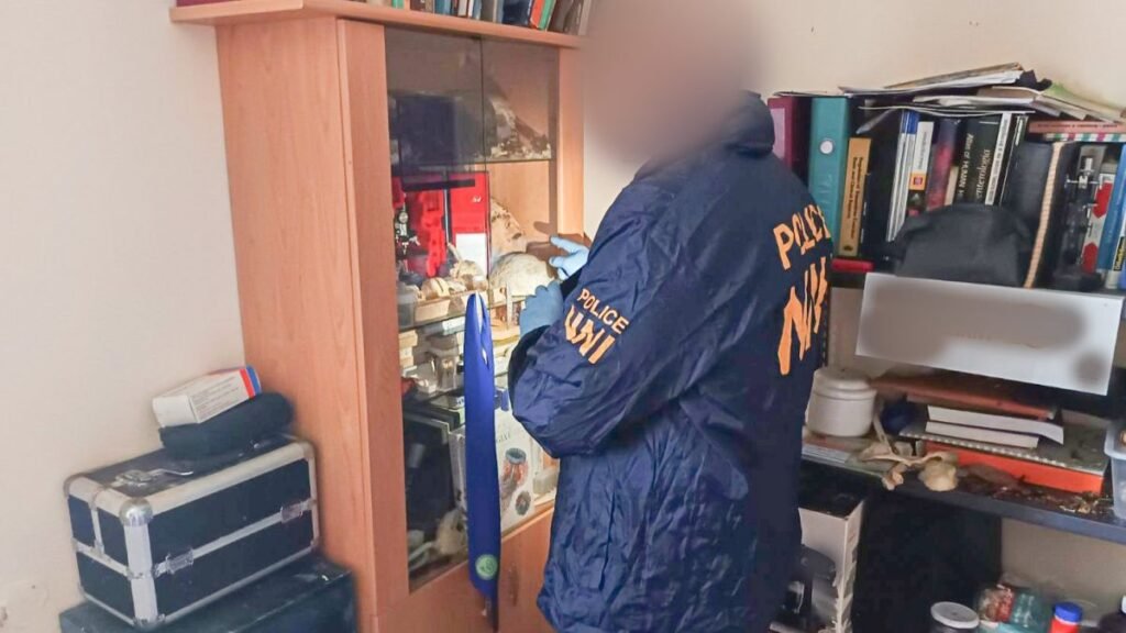 Odioasa poveste a unui canibal angajat la un spital din Budapesta / Împătimit colecționar (și consumator!) de părți anatomice umane "Canibalul din Budapesta: Povestea șocantă a unui angajat spitalicesc și colecționar de părți anatomice"
