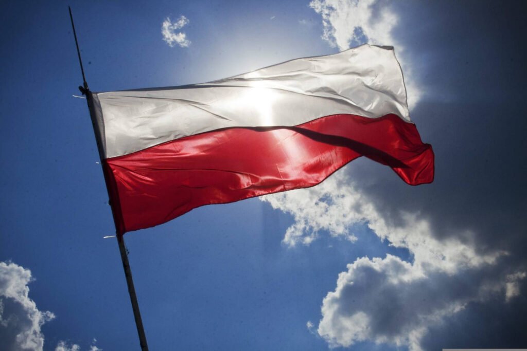 "Descoperire macabră în Polonia: Peste 30 de corpuri îngropate pe un teren privat"