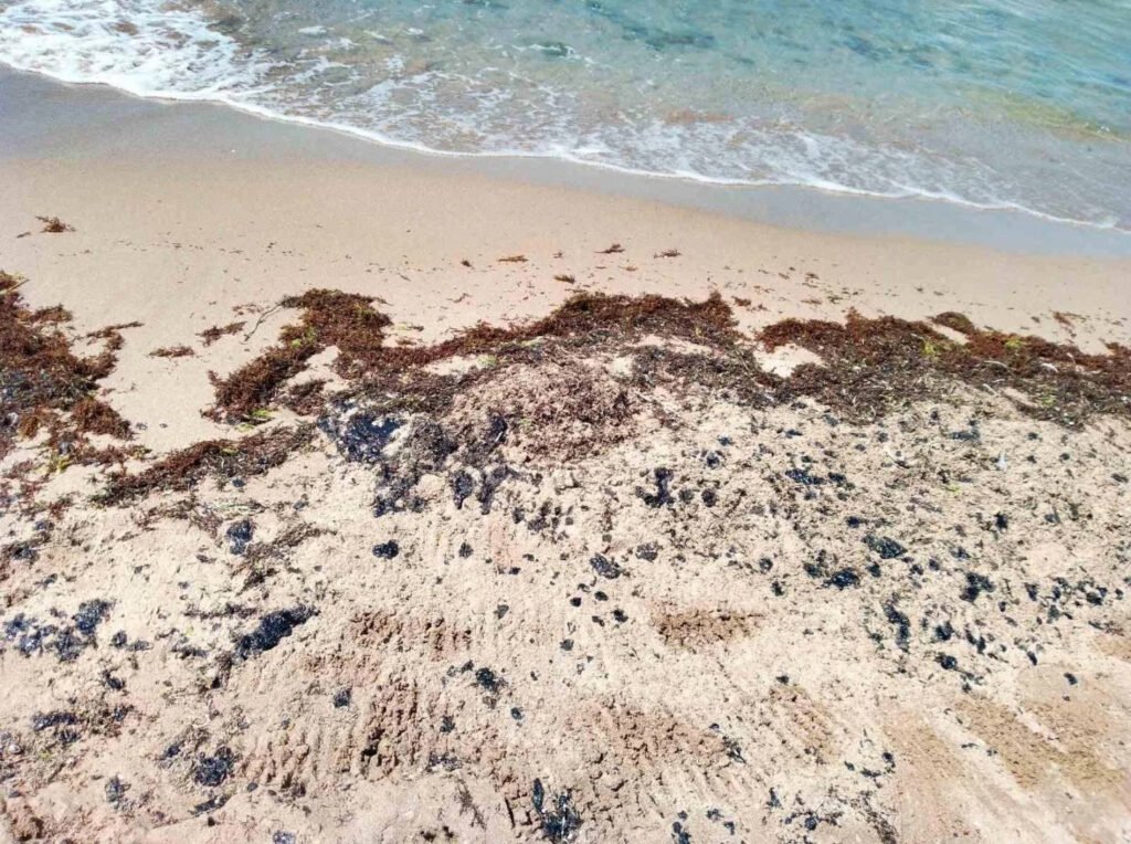Reziduuri de petrol pe plajele bulgărești de la Marea Neagră: Originea poluării care amenință sezonul estival Poluarea cu reziduuri de petrol pe plajele bulgărești: Impactul asupra sezonului estival la Marea Neagră