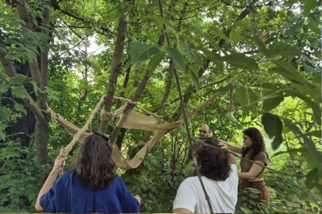 "Reinventarea Maidanului Academiei: Grădină și Spațiu Artistic Urban în Inima Orașului"