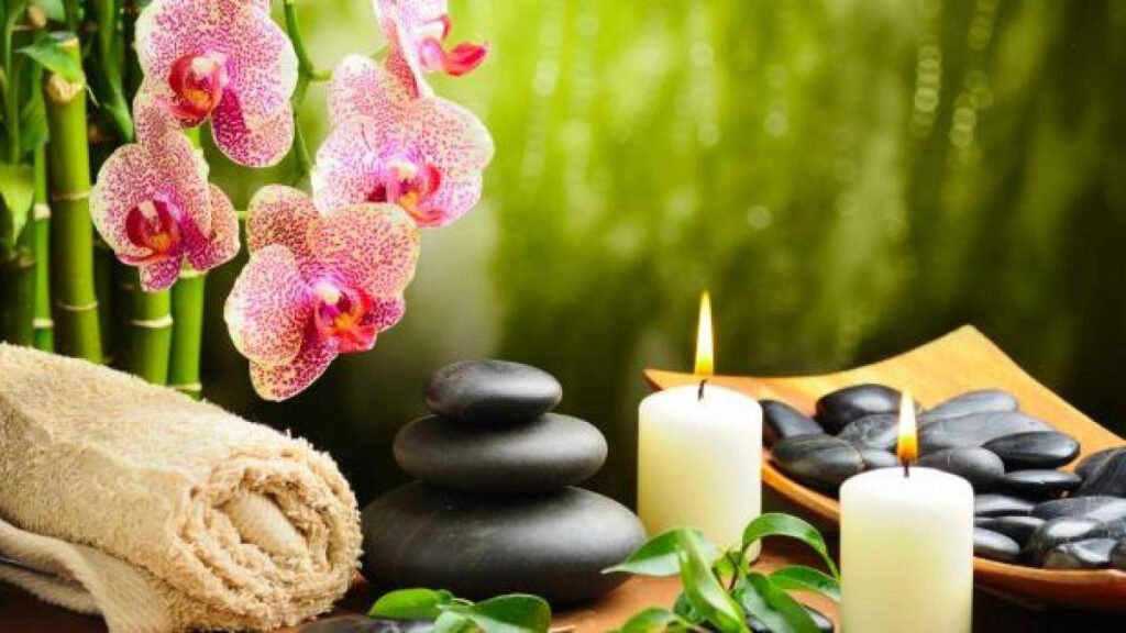 Cele mai bune plante Feng Shui pentru fiecare zodie: reducerea tensiunii și creșterea energiei pozitive în casă Cele mai bune plante Feng Shui pentru fiecare zodie: Cum să reduci tensiunea și să crești energia pozitivă în casa ta