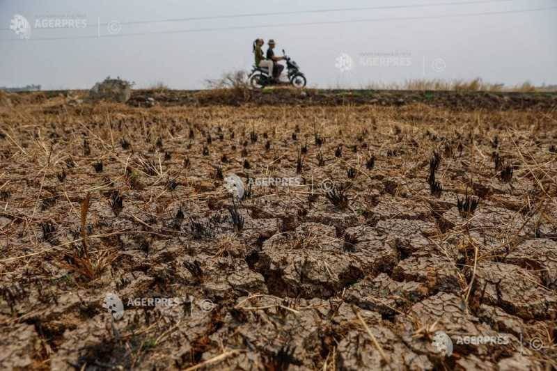 Actualul fenomen El Niño stabilește un record, afirmă un om de știință "El Niño Strikes Record Levels, Confirms Climate Scientist"