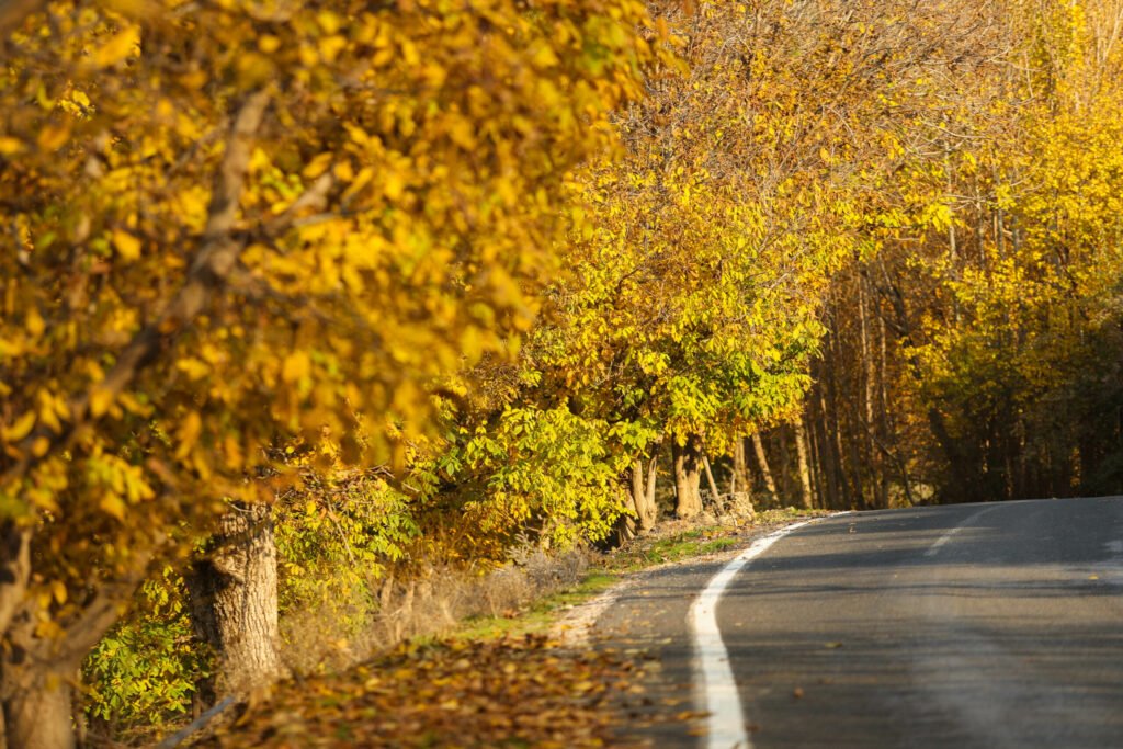"Explorați cele mai impresionante peisaje de toamnă din Transilvania - O destinație de poveste în Europa"