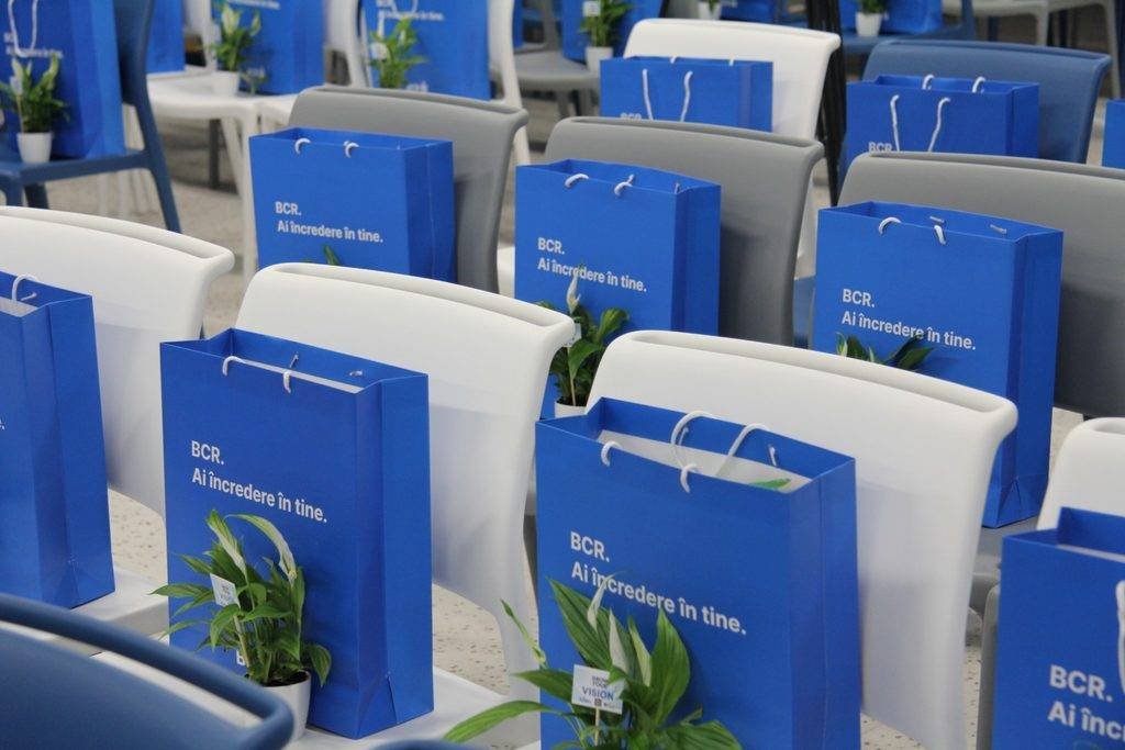 VISIO 2026: De la visul unei eleve Laude "Maximizing Efficiency with Large BCR Solutions for Your Business"