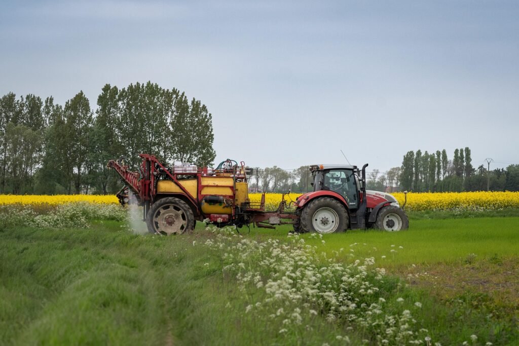 O nouă armă împotriva unei ciuperci care amenință agricultura globală: Ce au descoperit cercetătorii Descoperirea unei noi arme împotriva ciupercii care amenință agricultura globală