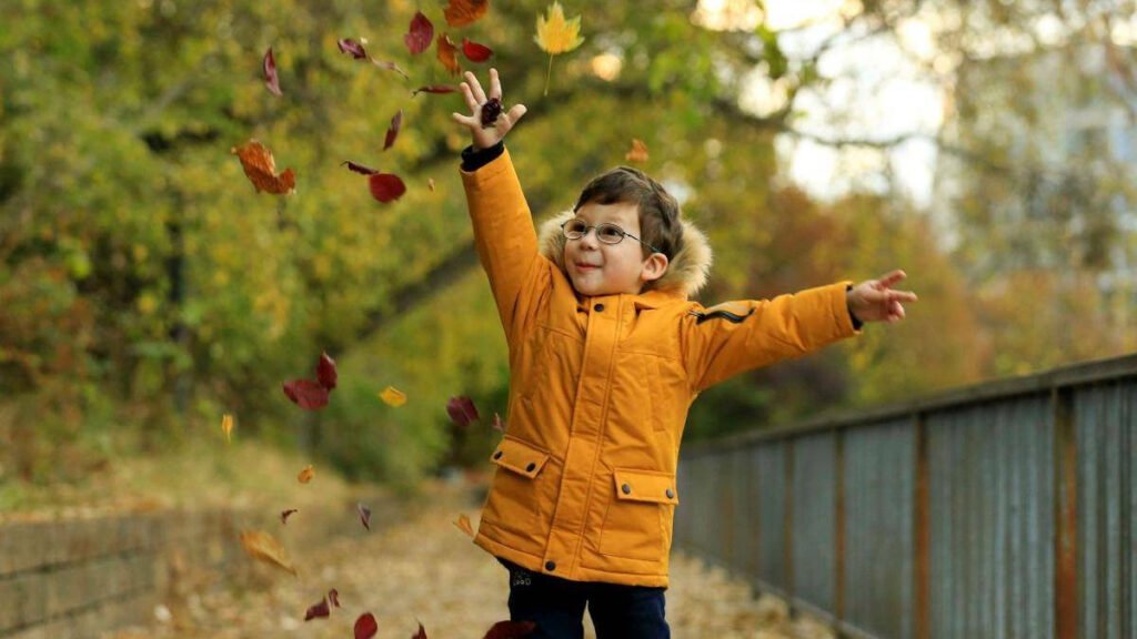 Horoscop noiembrie 2026: care zodii prioritizează familia și care își suspendă cariera Horoscop Noiembrie 2026: Zodiile care Prioritizează Familia și Cele care își Suspendă Cariera