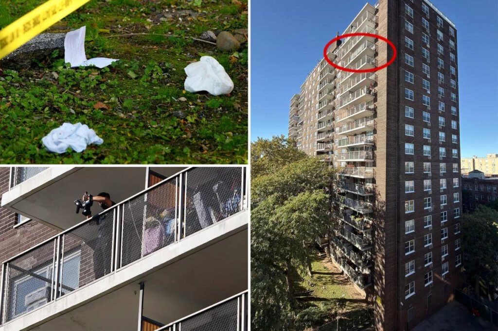 O americană de 23 de ani a murit după ce a fost împinsă de la etajul 15 împreună cu bebelușul ei, care este în stare critică "Tragedie: O tânără mamă de 23 de ani moare după ce a fost împinsă de la etajul 15 împreună cu bebelușul în stare critică"
